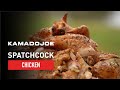 Spatchcock Chicken 101 | Chef Eric Recipe