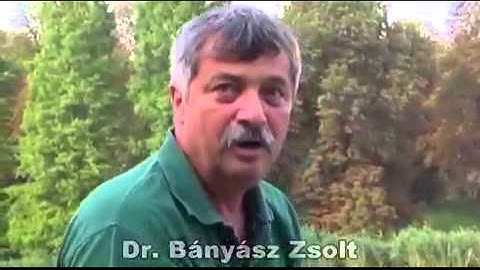 Jótékonysági kampány előzetes - Bajcsy-Zsilinszky Kórház és Rendelőintézet