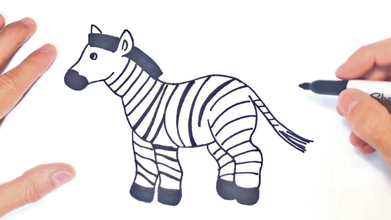 Cómo dibujar una Zebra Paso a Paso | Dibujo de Zebra - YouTube