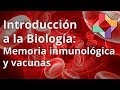 Memoria inmunológica y vacunas - Biología - Educatina