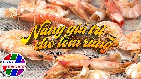 Nhịp sống đồng bằng: Nâng giá trị cho tôm rừng
