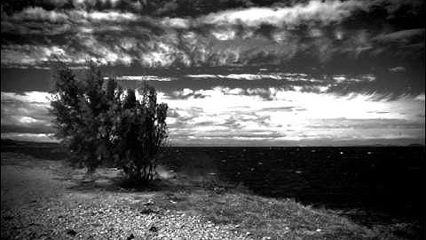 Vortex Generator - No Presence