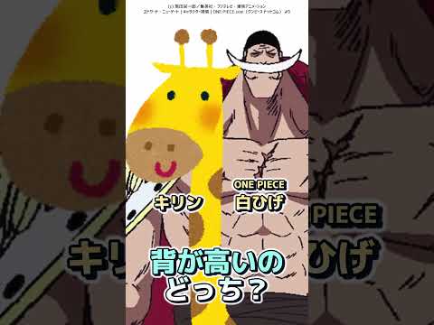 背が高いの、どっち？ Part.3【クイズ】 #shorts #anime #onepiece  #ワンピース