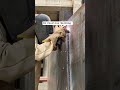 3G position of #stickwelding #tigwelding #weldingprocess