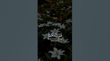 #سورة_الكوثر #ماهر_المعيقلي #قرآن #تلاوات #تلاوات_خاشعة #قران_كريم