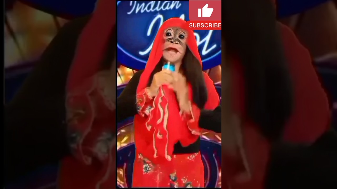 Monkey singer😢🥺