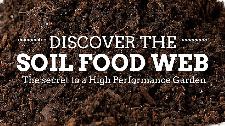 How the Soil Food Web Works in the Organic Garden