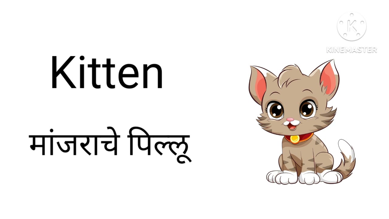 Letters Start From K || Letters Start with K ||