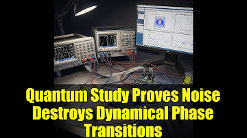 Quantum Study Proves Noise Destroys Dynamical Phase Transitions