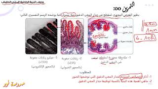 تمرين حول وصف البنية الداخلية للمعي الدقيق علوم طبيعية سنة 04 متوسط