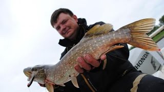 Видео о рыбалке №410