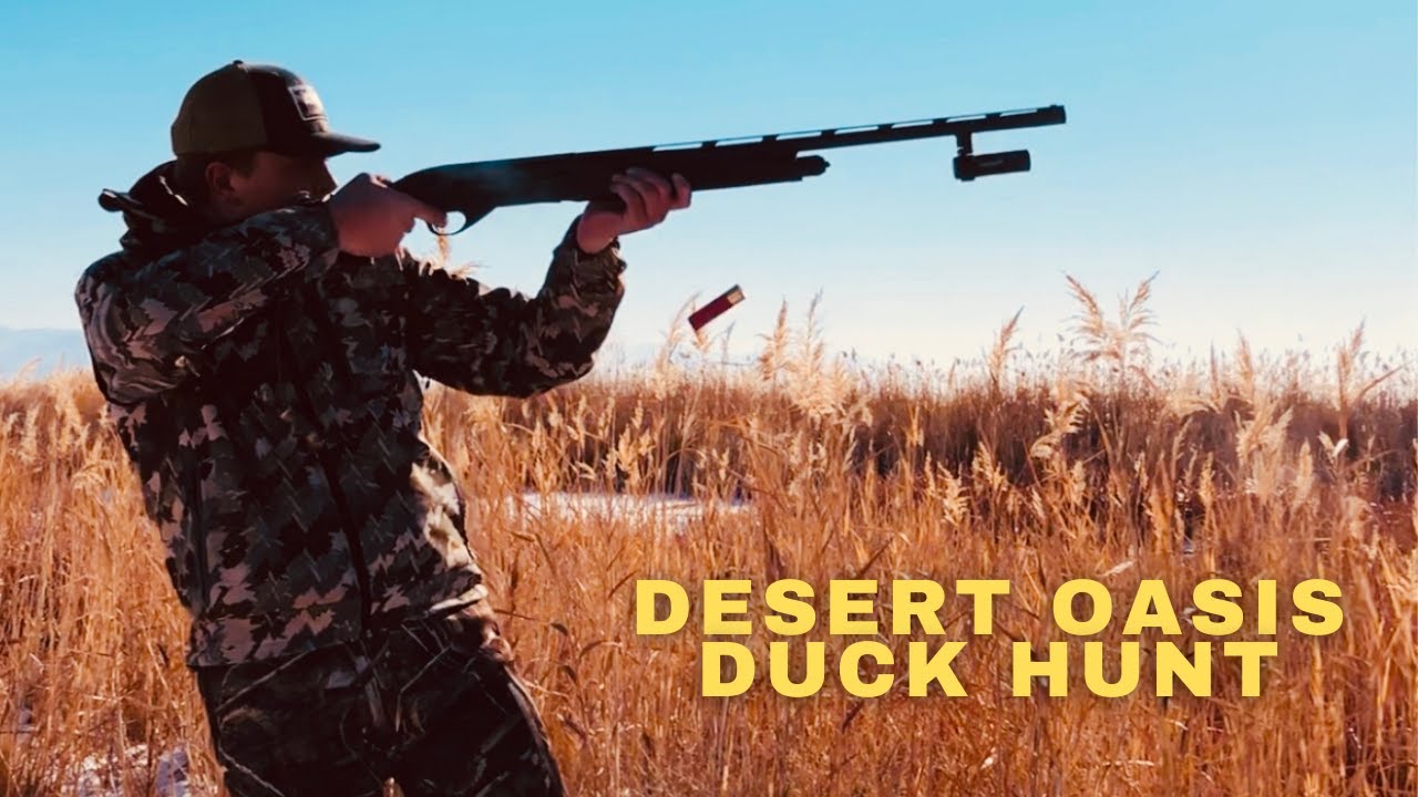 2021 Utah Duck Hunt Public Land Duck Hunt Success 4K YouTube 2021-utah-duck-hunt-public-land-duck-hunt-success-4k-youtube
