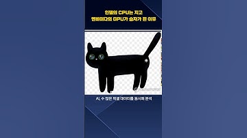 인텔의 CPU는 지고 엔비디아의 GPU가 AI 전쟁에서 승리한 이유