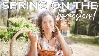 Making A Homestead | Spring On the Homestead