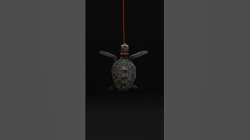 🐢 Turtle shells Not Bulletproof ? PROOF (3D Animation)