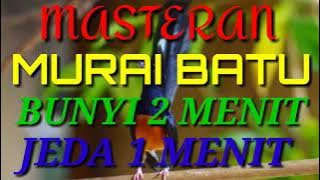 MASTERAN BURUNG MURAI BATU GACOR  BUNYI 2 MENIT JEDA 1 MENIT