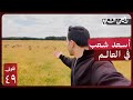 ٧٢ ساعة في الدنمارك وش تسوي فيها فلوق ٤٩