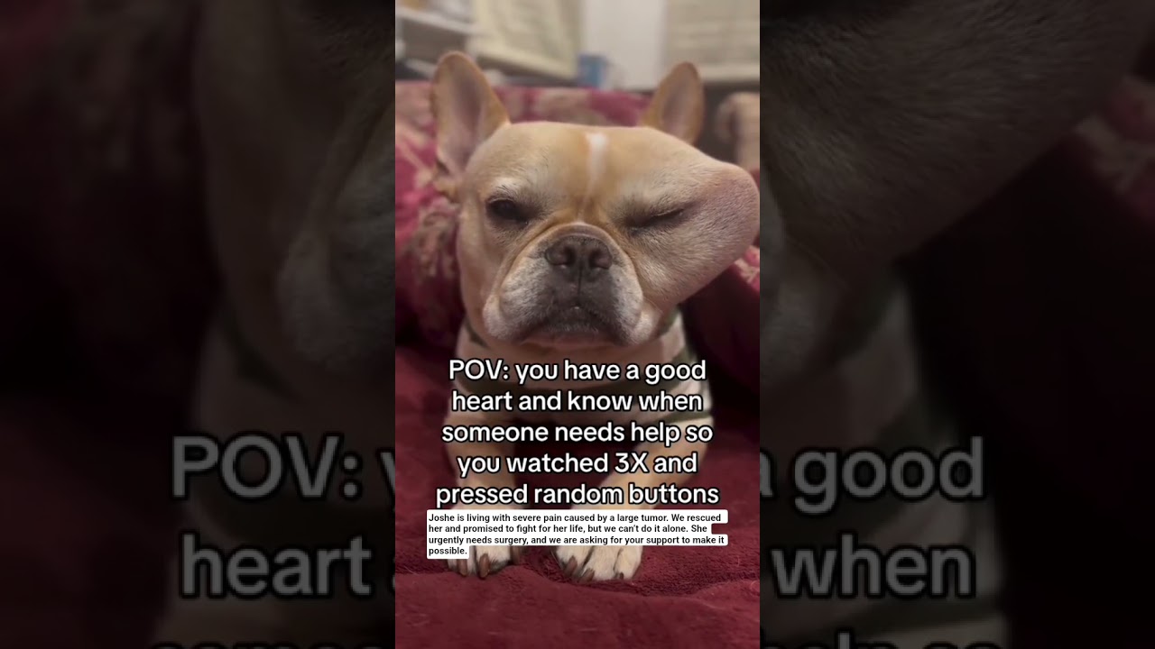 She urgently needs surgery, and we are asking for your support to make it possible.