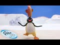 Pingus favorite games   pingu  official channel  cartoons for kids