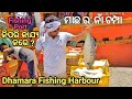 Fishing port          dhamara fishing harbour