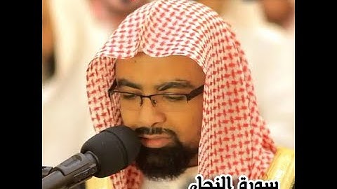 سورة النحل  للشيخ ناصر القطامي صوت ملائكي Quraan Kareem