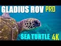 GLADIUS Pro Edition ROV - Amazing Hawaiian Sea Turtle CLOSE Encounter