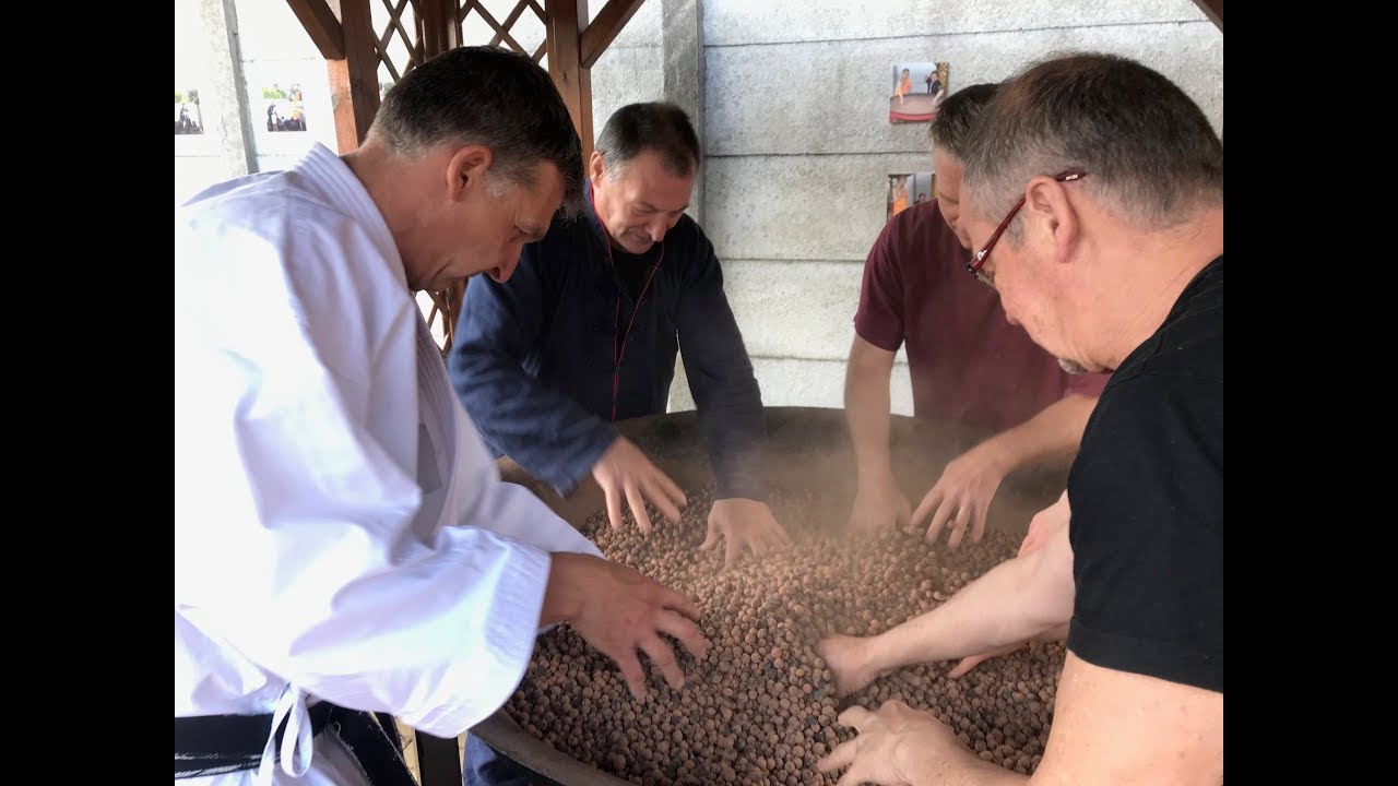 Workshop IRON HAND 2 GM Walter Toch & Hubert Laenen 5 mai 2019 Belgium
