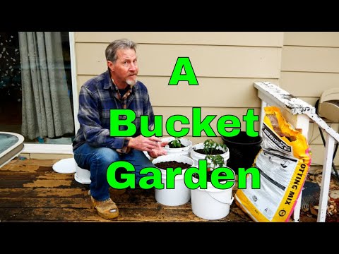 ვიდეო: გობელენი (39 ფოტო): რა არის ეს? მოოქროვილი რკინის დეკორატიული ბაღის საფარი მცენარეებისთვის და პლასტმასის მოდელებისთვის, სხვა ვარიანტები