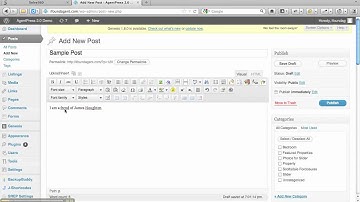 WordPress Spell Check