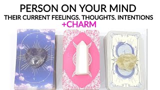 PICK• YOUR PERSON 💗 CURRENT FEELINGS• THOUGHTS & INTENTIONS ? WHAT'S NEXT +CHARM TIMELESS