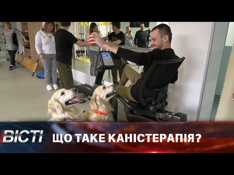 Чотирилапі лікарі