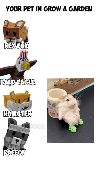 Your pet in Grow a Garden| Doge Gaming