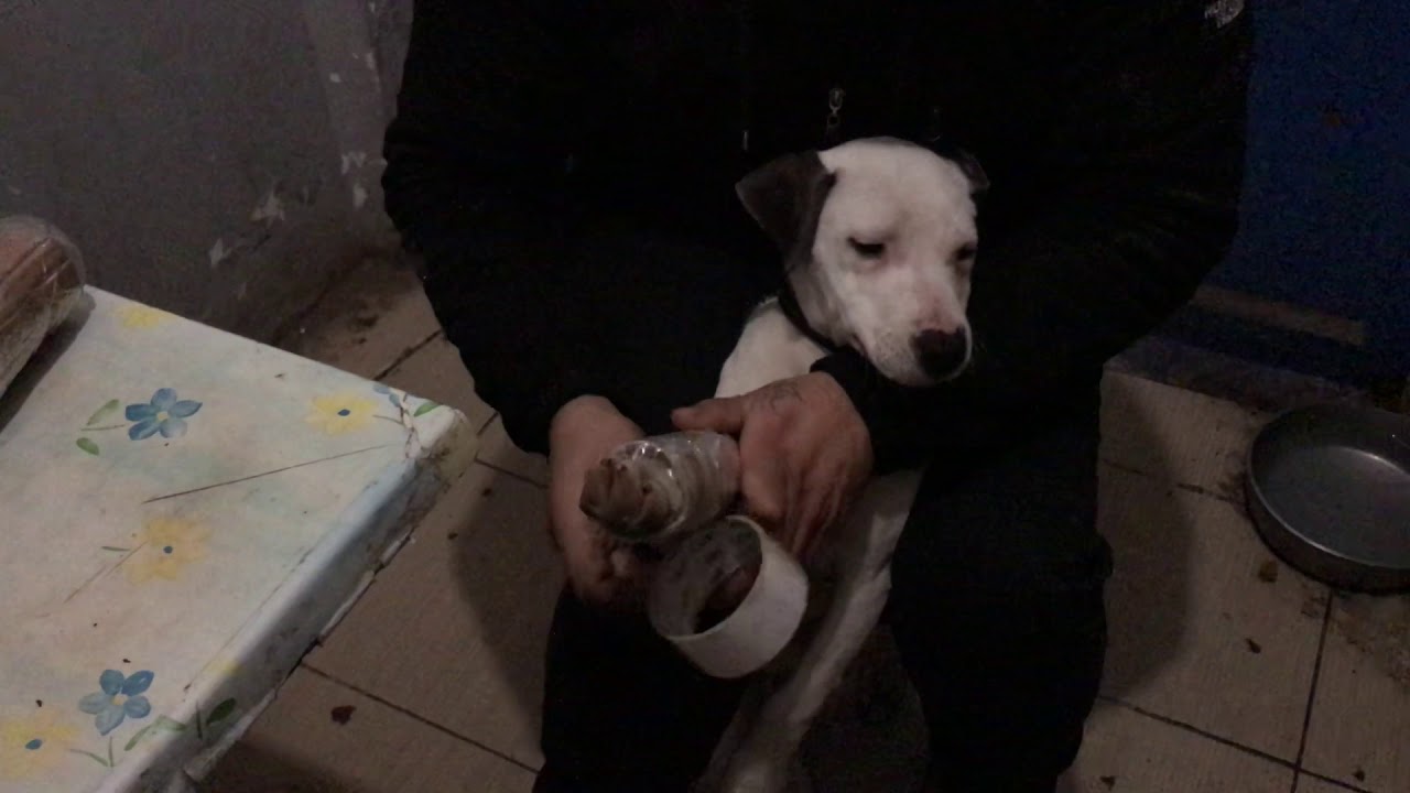 RAŞİZİTM HASTALIĞI DOĞAL TEDAVİSİ !!!