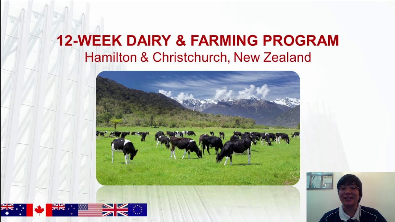 Why Choose Dairy Farming in New Zealand?