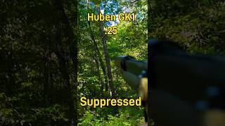 Huben GK1 .25 Squirrel Harvest Suppressed / iron sights #airgunhunting #huben #gk1