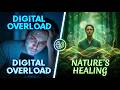 45 Min Digital Detox &amp; Screen Fatigue Relief | 285Hz Schumann Resonance + Tibetan Singing Bowls
