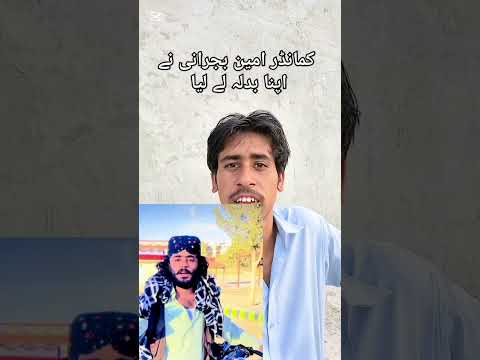 کمانڈر امین بجرانی توں شیر ہیں