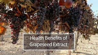 Grapeseed Extract