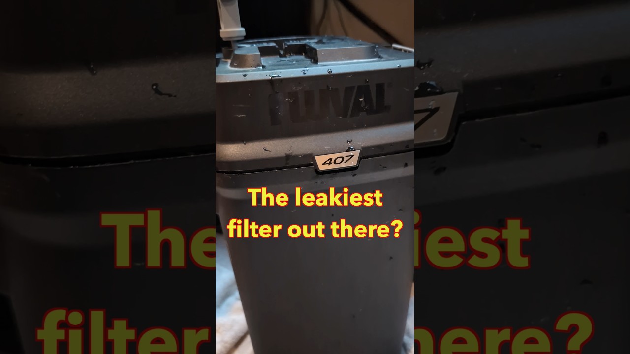 Leaking canister filter USUALLY a result of user error