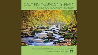 Calming Mountain Stream - Ryan Judd