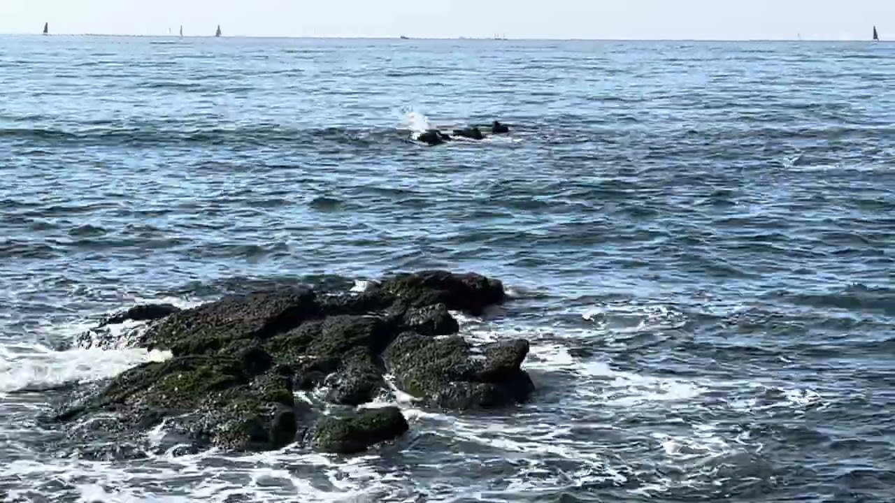 和田長浜海水浴場　20260215