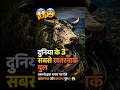 😱 इंसानों द्वारा बनाए गए दुनिया के 3 सबसे खतरनाक पुल 😨 | Unbelievable Bridges #shorts