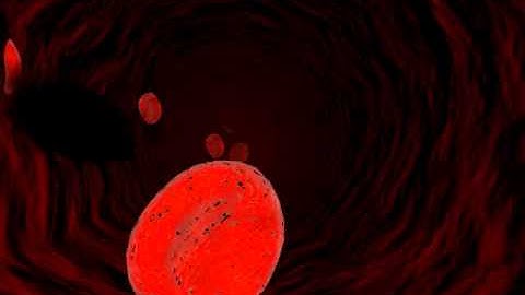 Blood vessel  part 1