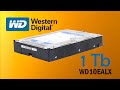 Обзор жесткого диска WD BLUE на 1 TB.