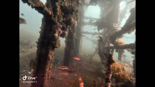 Diving NOSC Tower 05FEB22