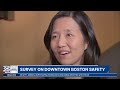 Is Downtown Boston safe? New survey reveals growing concerns about crime