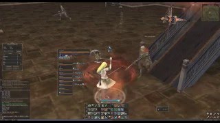 White Wings (Gludio Siege) - [Lineage 2 Classic EU / Skelth] Elven Elder