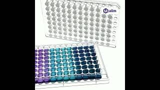 Step-by-Step Co-culture Assay Using Transwell Inserts