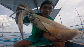 Di Namin Inaasahan  ! Malalaking pusit at Isda