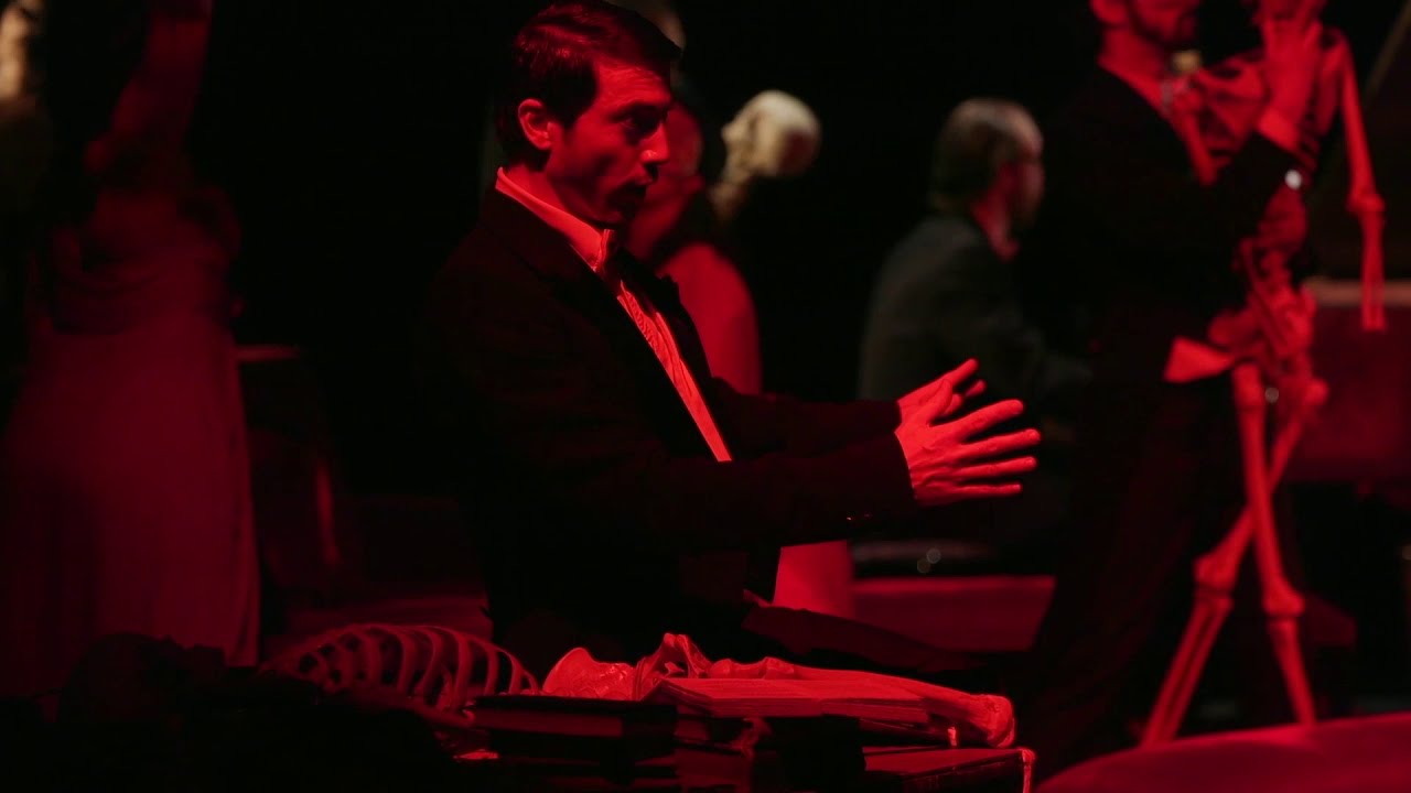 Le Palais royal - Tout est Lumière - 14. Danse macabre (Saint-Saëns)